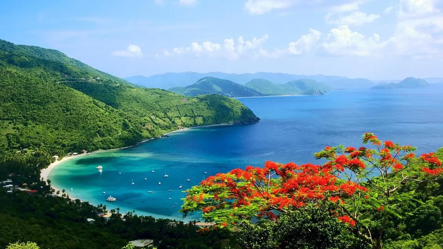 高端工业高精度